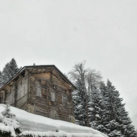 Kış Ayder Yaylası