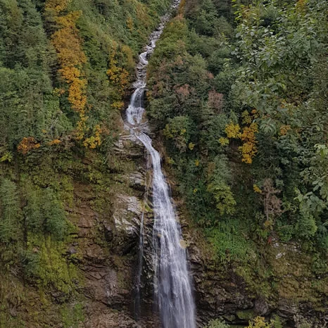 Sonbahar Ayder Yaylası
