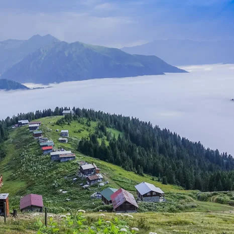 İlkbahar Pokut yaylası