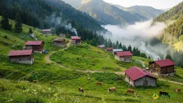Ayder Mountain Houses