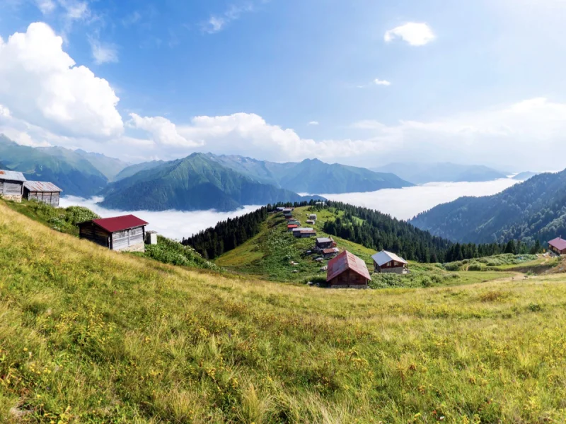 Rize Yayla Gezileri ve Tur Rehberi