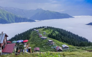 Çamlıhemşin Highlands