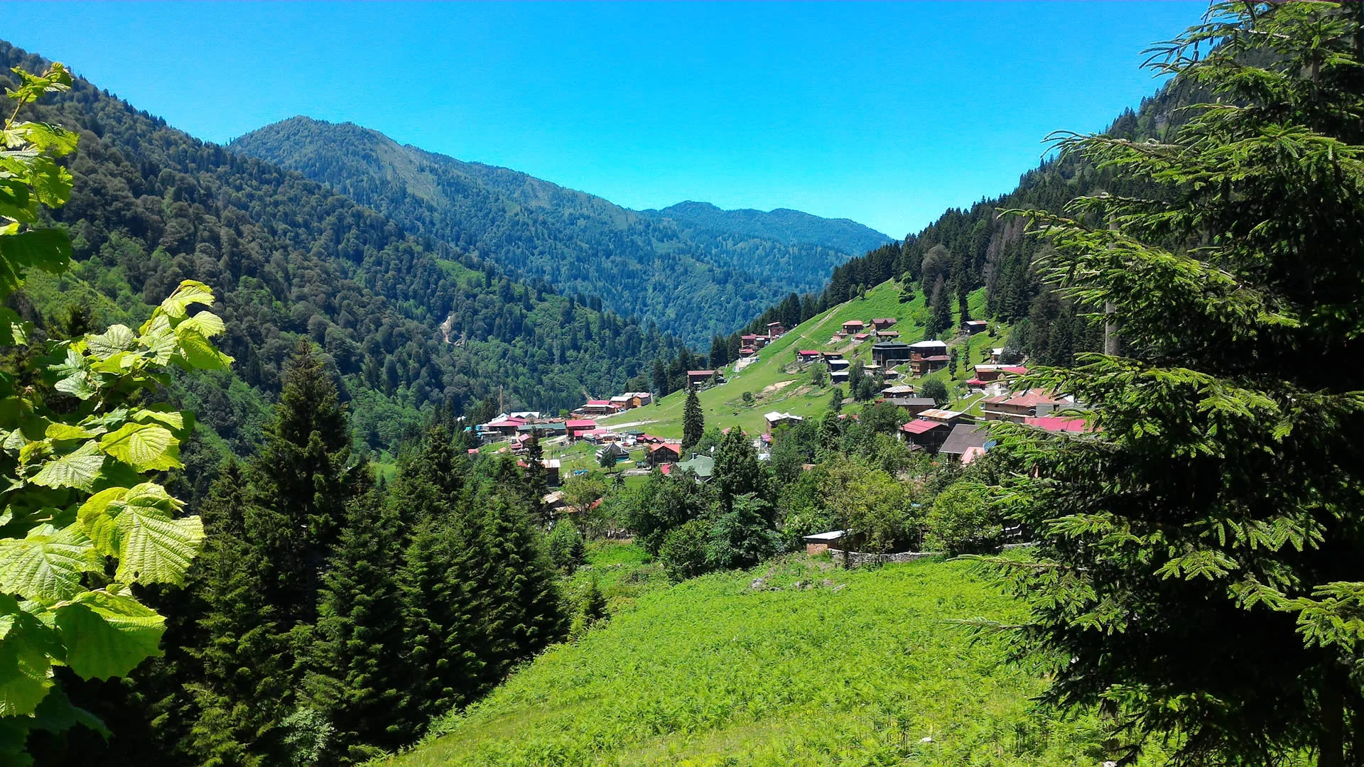 Ayder Yaylası Sanal Tur İzle