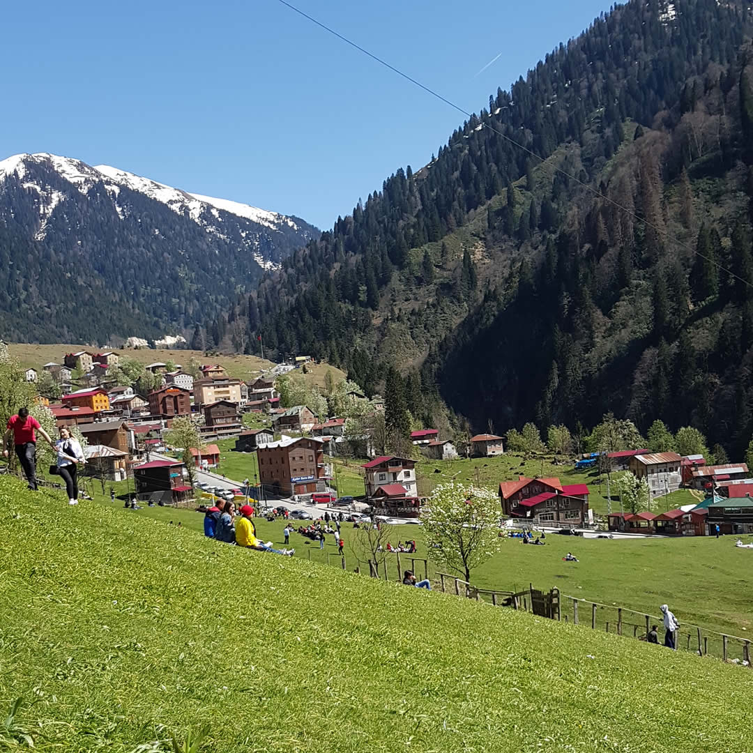 Ayder yaylası nerede?